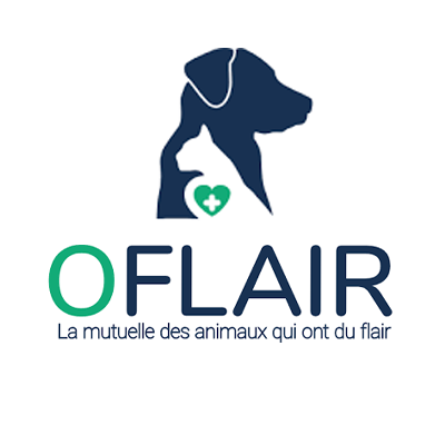 O'Flair Logo